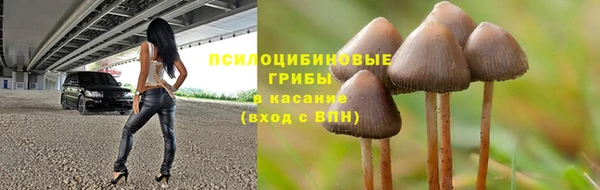 mix Гусев