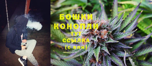 apvp Гусиноозёрск