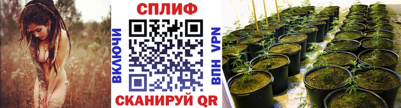 Бошки Шишки LSD WEED площадка какой сайт hydra как войти Москва купить закладку